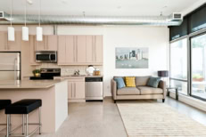 A modern kitchen and living room in a condo